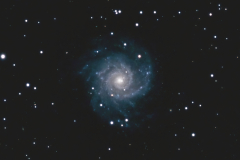 The Phantom Galaxy (M74)