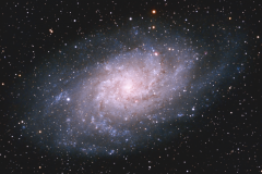 The Triangulum Galaxy