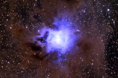 Iris Nebula (NGC 7023)