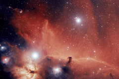 The Horsehead and Flame Nebulae