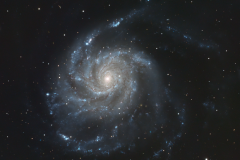 The Pinwheel Galaxy (M101) with SN 2023ixf