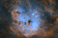 The Tadpoles (IC410)