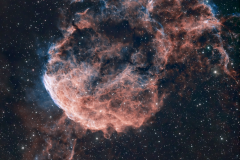The Jellyfish Nebula (IC443)
