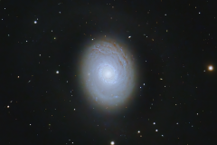 The Croc\'s Eye Galaxy (M94)