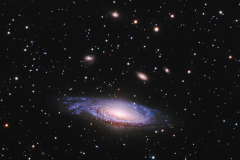 The NGC 7331 Group