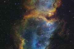 The Soul Nebula (IC 1848)