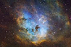 The Tadpoles (IC 410)