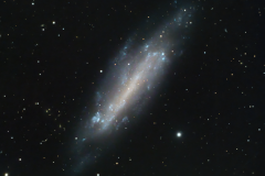 NGC 4236
