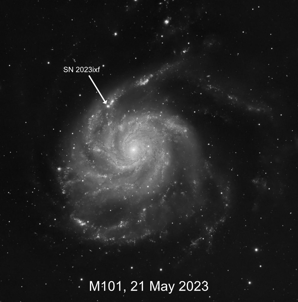 The Pinwheel Galaxy (M101) showing Supernova 2023ixf